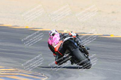 media/Mar-10-2024-SoCal Trackdays (Sun) [[6228d7c590]]/9-Turn 8 Backside (1150am)/